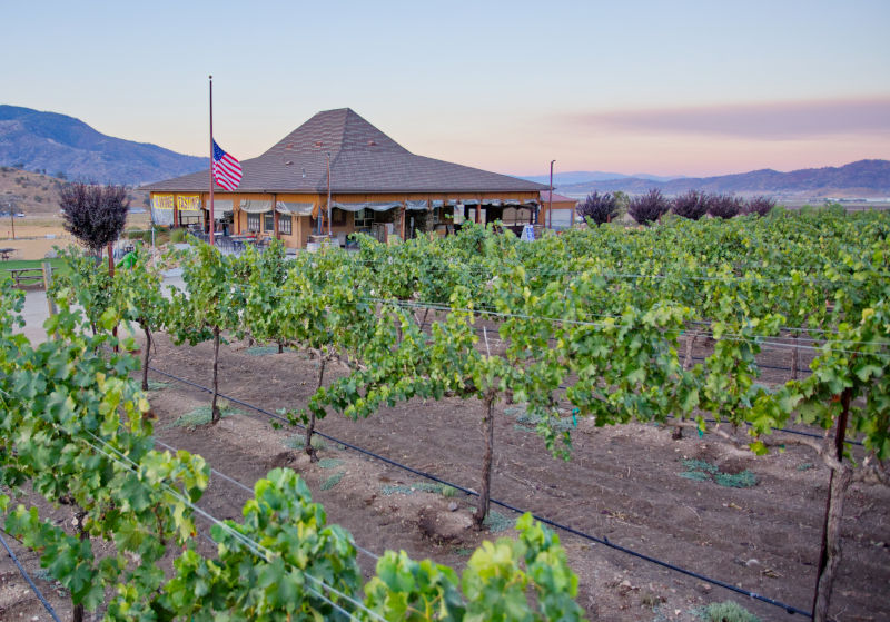 Triassic Vinyards tasting room and sunrise